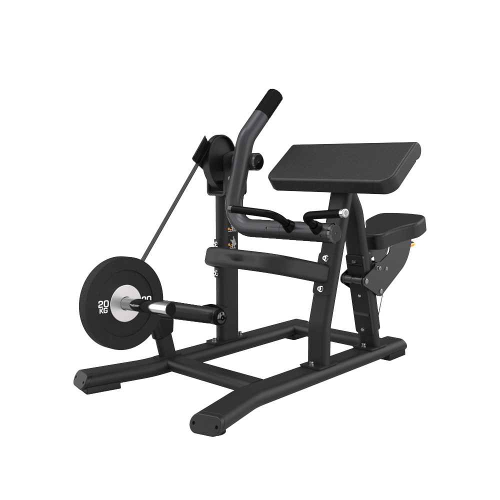 Gym equipment for online biceps