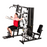 Horizon Fitness Torus 5 Multi Gym (Includes Install)