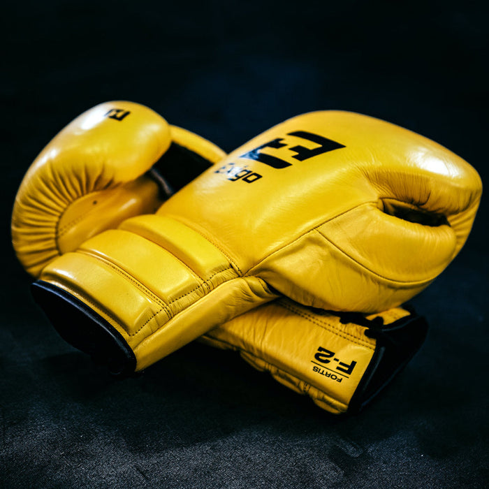 Exigo F2 Fortis Leather Sparring Gloves