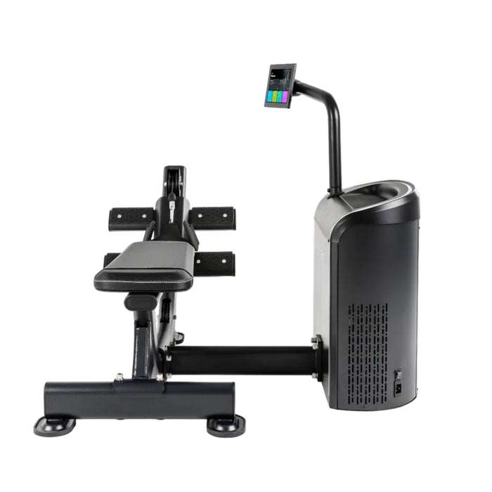 Spirit iStrength Low Row