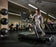 Echelon Stride 7S Heavy-Duty Smart Treadmill