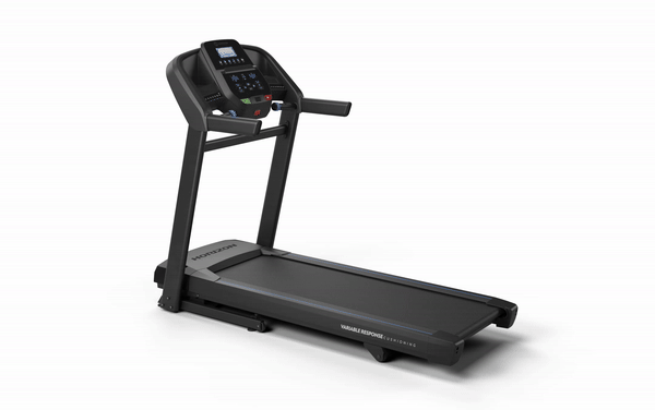Exercise Treadmills Reviews Horizon T202 Treadmill HOT Horizon
