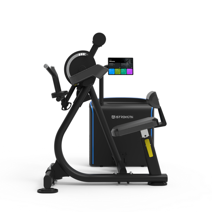 Spirit iStrength Bicep Curl / Tricep Extension