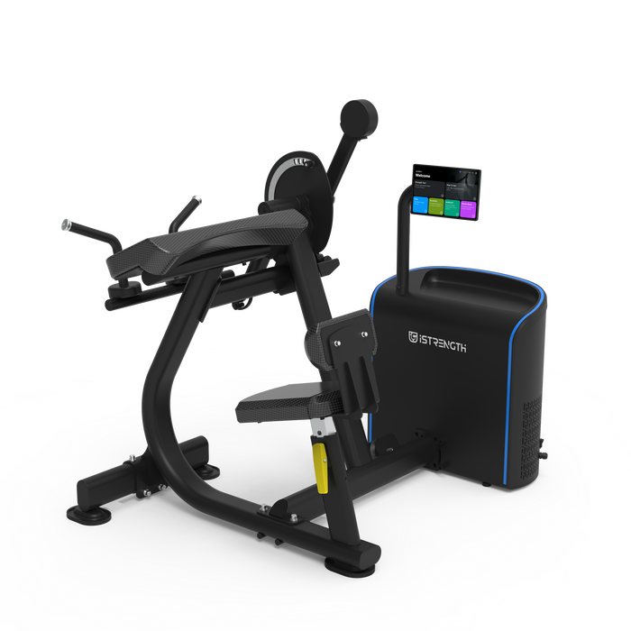 Spirit iStrength Bicep Curl / Tricep Extension
