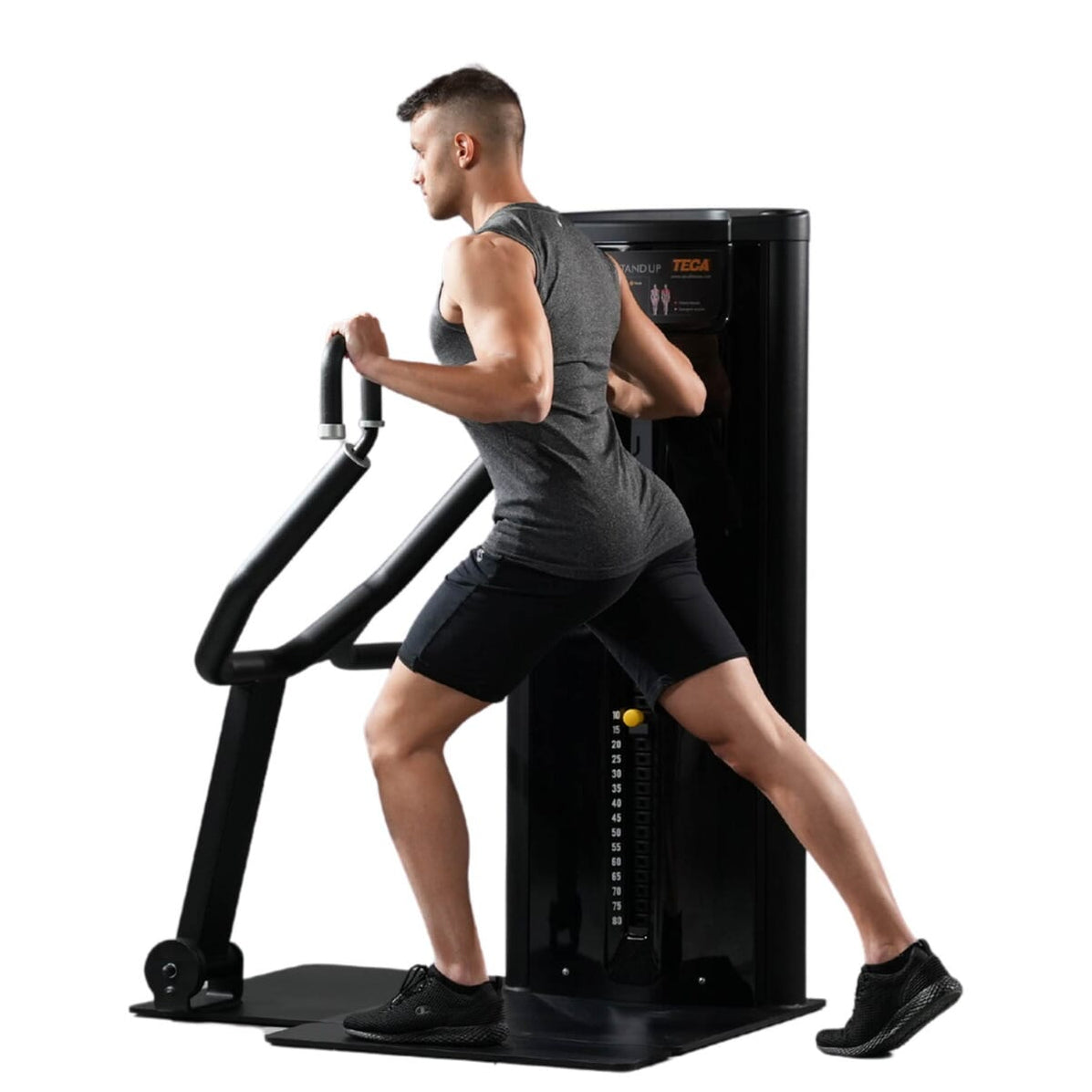 TECA Stand Up Chest Press Machine — Best Gym Equipment
