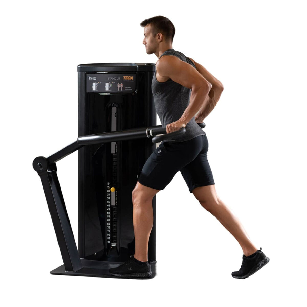 TECA Stand Up Tricep Machine — Best Gym Equipment