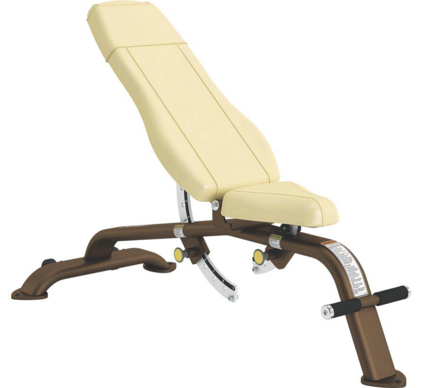 Cybex -10 To 80 Bench Adjustable Bench - Best Gym Equipment