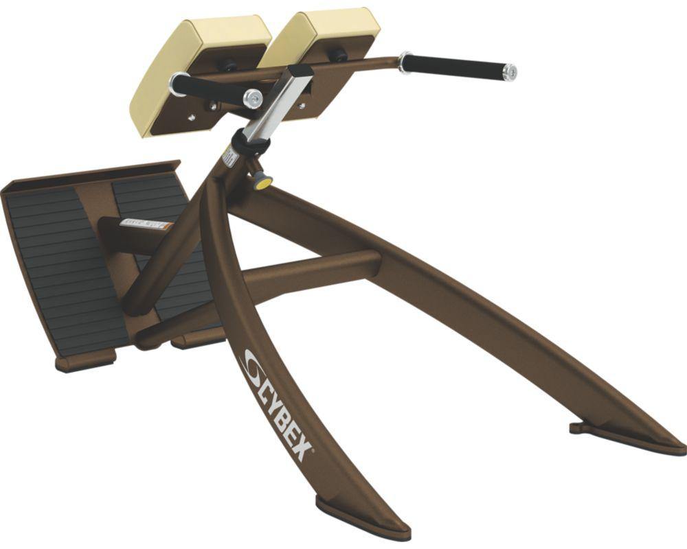 back extension cybex Cybex 45 degree Back Extension — Best Gym Equipment