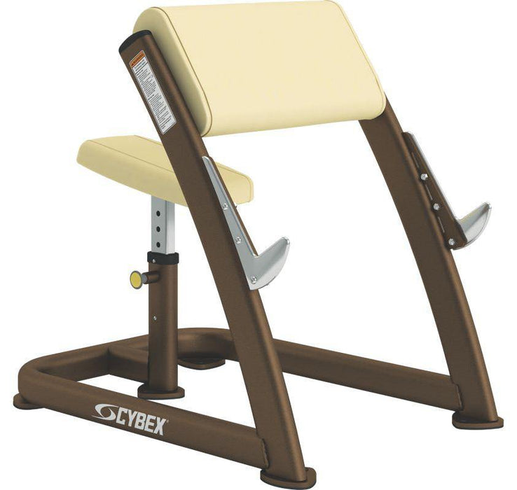 cybex scott Cybex Scott Curl — Best Gym Equipment
