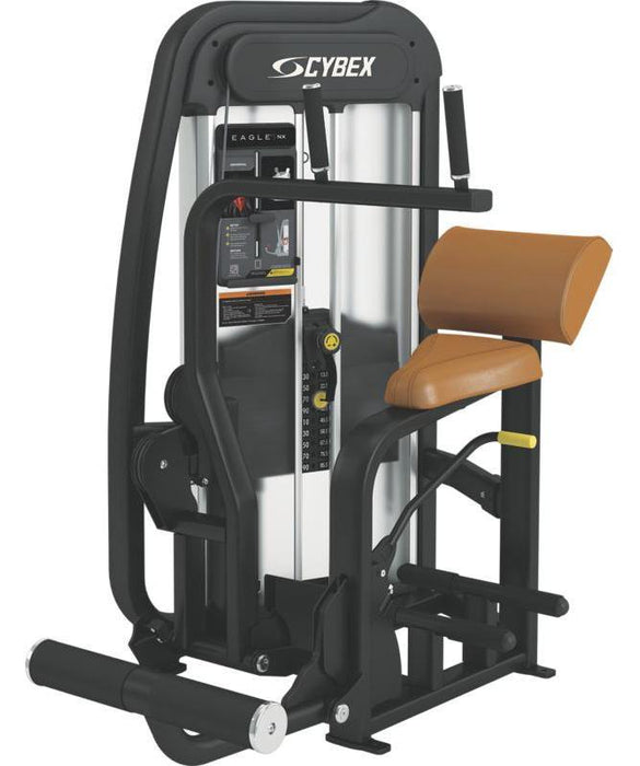 Cybex Eagle NX Abdominal Selectorised — Best Gym Equipment