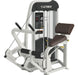 Cybex Eagle NX Back Extension Selectorised - Best Gym Equipment