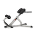 Nautilus Instinct 45Degree Back Extension - Best Gym Equipment