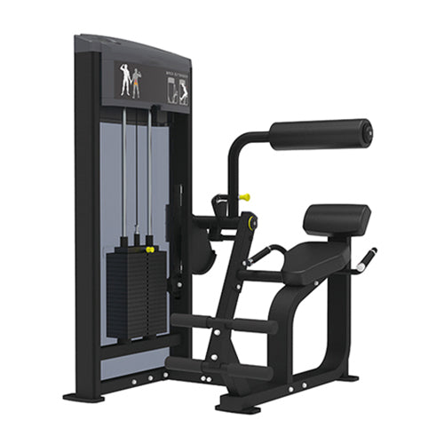 GymGear Pro Series Back Extension