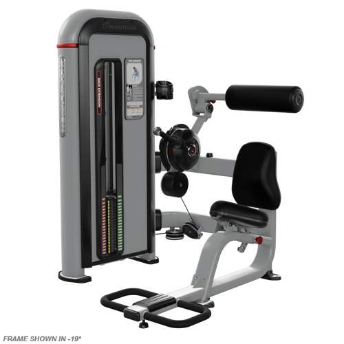 Nautilus back extension machine sale