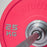 Physical Company PU Competition Bumper Plates (Singles) - Best Gym Equipment