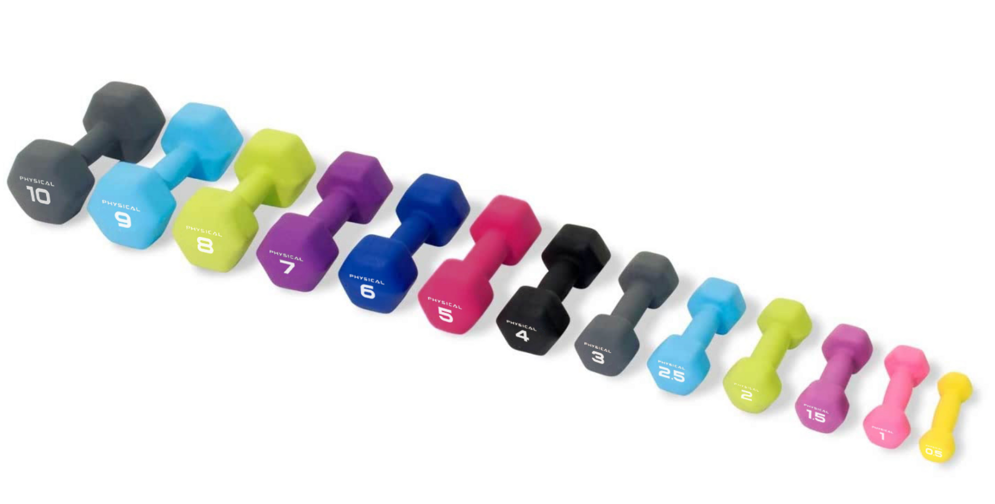 Weights & Bars — Best Gym Equipment