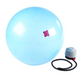 BOSU Ballast Ball - 65CM - Best Gym Equipment