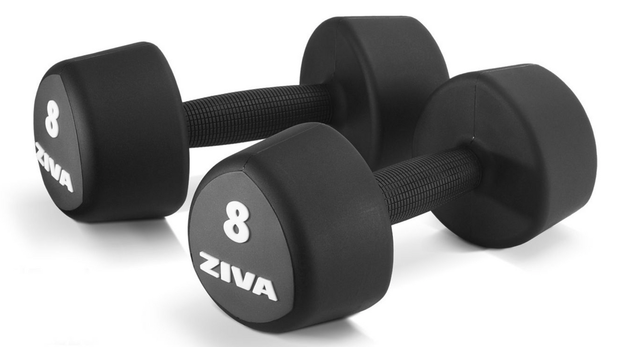 Ziva Zvo Pu Functional Tribells - Best Gym Equipment