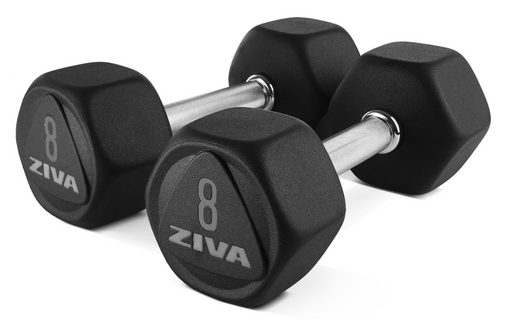 Ziva Sl Premium Hexagon Virgin Rubber Dumbbells - Best Gym Equipment