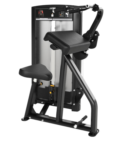 Cybex Ion Triceps Extension