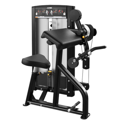Cybex Ion Biceps Curl/Triceps Extension