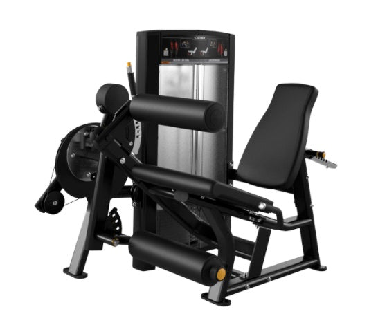 Cybex Ion Seated Leg Curl Extension
