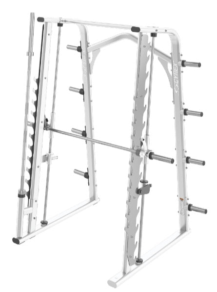 cybex ion series smith rack Cybex Ion Smith Rack — Best Gym Equipment