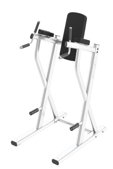 cybex dip station Cybex Ion Dip/Leg Raise — Best Gym Equipment