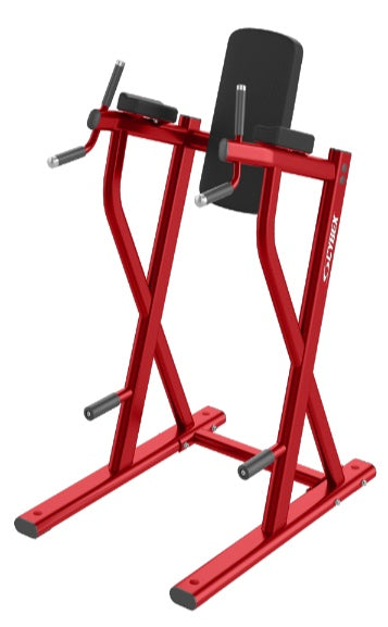 cybex dip machine Cybex Ion Dip/Leg Raise — Best Gym Equipment