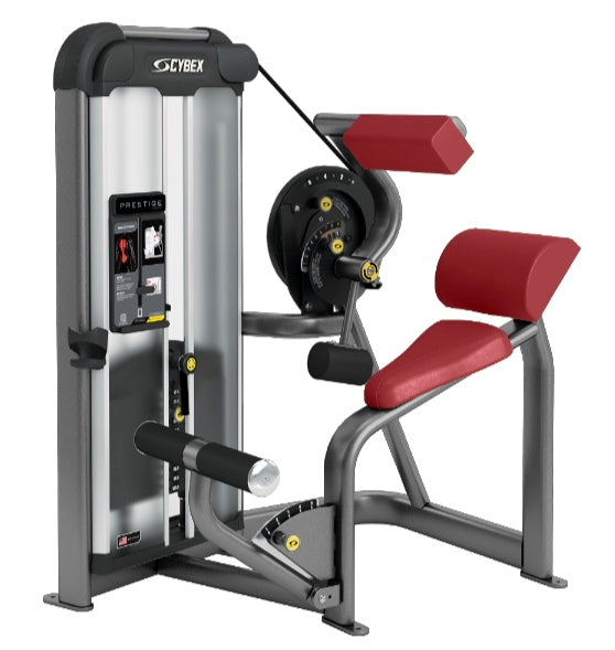 cybex prestige leg extension Cybex Prestige Series Back Extension Selectorised — Best Gym Equipment