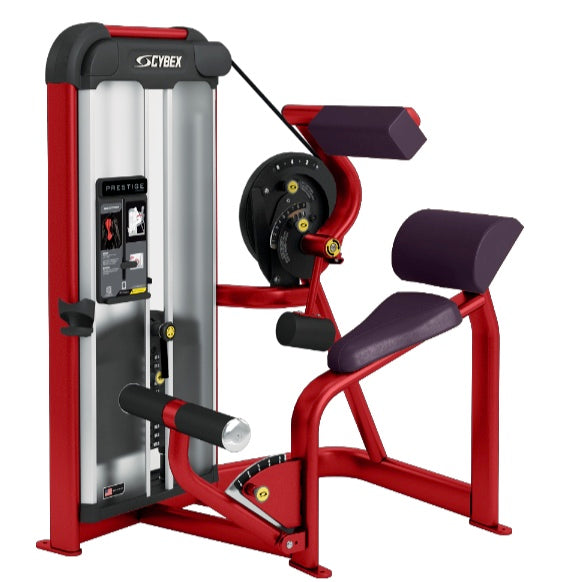 back extension cybex Cybex Prestige Series Back Extension Selectorised — Best Gym Equipment