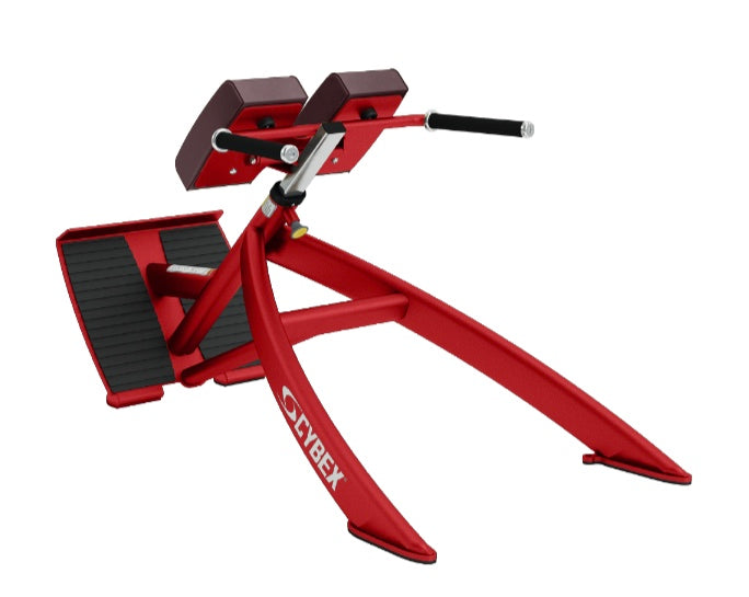 cybex 45 degree back extension Cybex 45 degree Back Extension — Best Gym Equipment