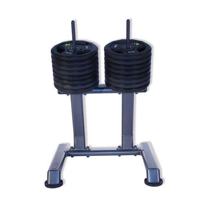 Vertical Disc Rack Physical Company Vertical Disc Rack — Best Gym Equipment