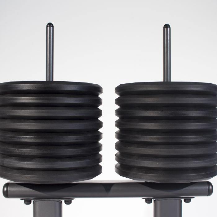 Vertical Disc Rack Physical Company Vertical Disc Rack — Best Gym Equipment