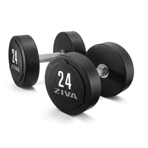 Ziva ZVO Solid Steel Urethane Dumbbell Sets - Best Gym Equipment