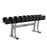 Life Fitness Signature Series Single Tier Dumbbell Rack - Best Gym Equipment