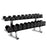 Life Fitness Signature Series Two Tier Dumbbell Rack - Best Gym Equipment