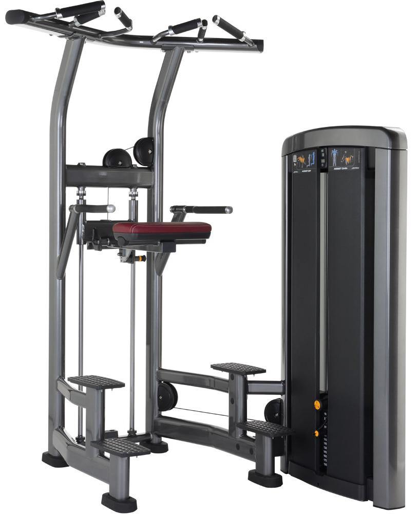 Life Fitness Insignia Series Assist Chin Dip Selectorised - Best Gym Equipment