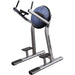 Life Fitness Signature Series Leg Raise - Best Gym Equipment