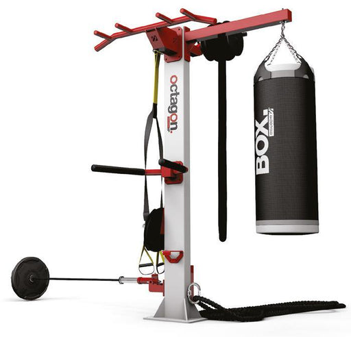 Octagon T1 Free Standing Rig - Best Gym Equipment