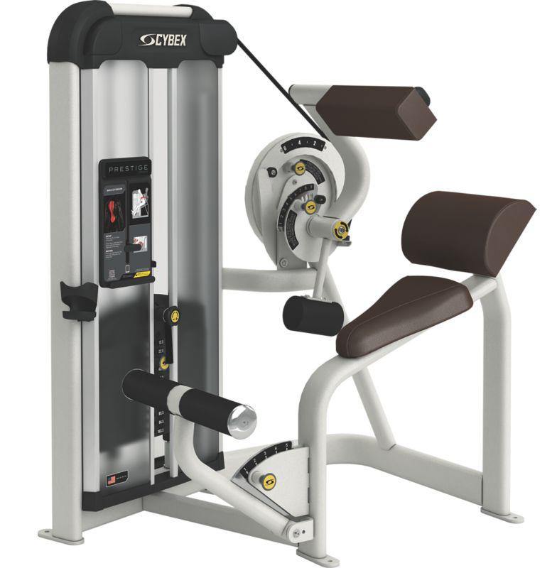 Cybex Prestige Series Back Extension Selectorised - Best Gym Equipment