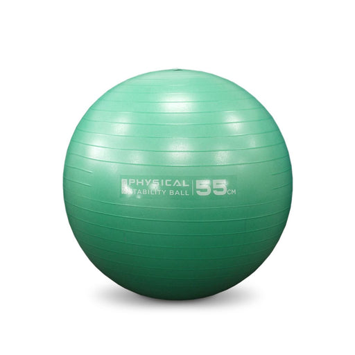 Physical Company Pro Stability Ball