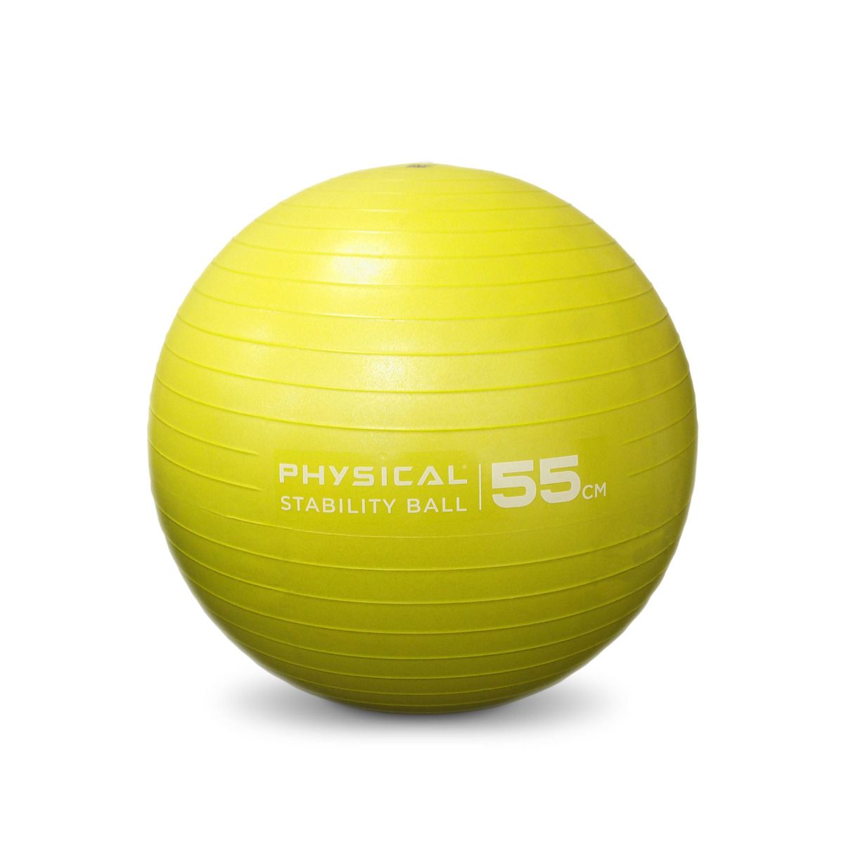 Physical Company Stability Ball — Best Gym Equipment
