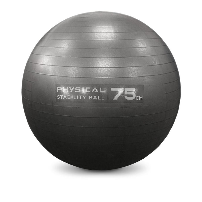 Physical Company Stability Ball