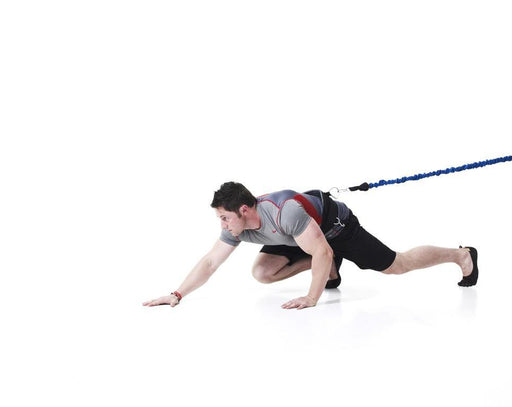 Jordan Swivel Viper Belt - Best Gym Equipment